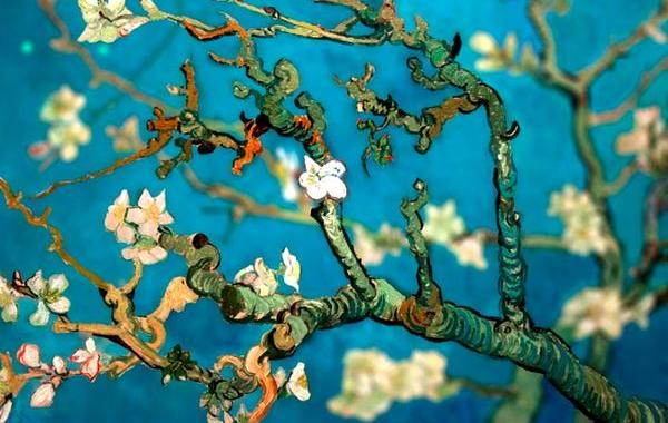 глубина в картинах Ван Гога, картины Ван Гога тилт-шифт