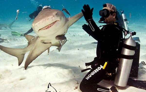 в нужный момент, поймать кадр, лови момент