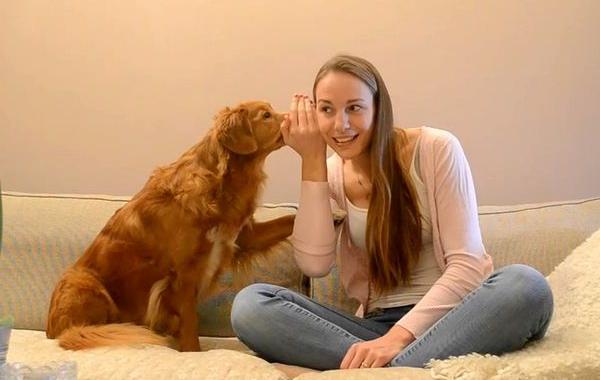 собака умеет сплетничать, собака перешёптывается