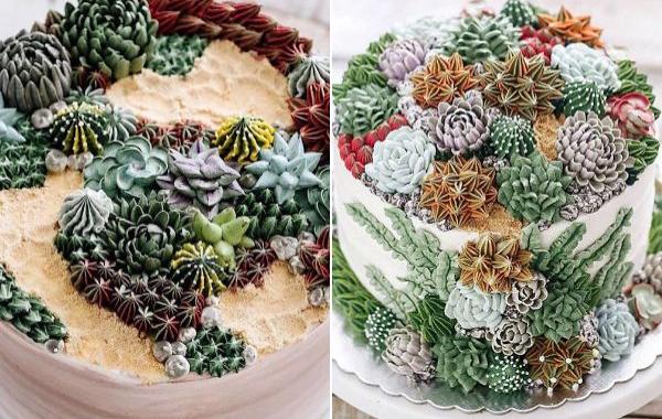 торты украшенные кактусами, торты украшенные суккулентами, Ivenoven