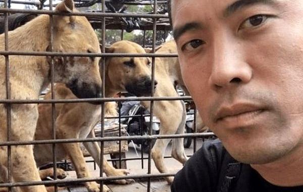 спасение собак с фестиваля собачьего мяса, фестиваль собачьего мяса в Китае, Марк Чинг, Marc Ching