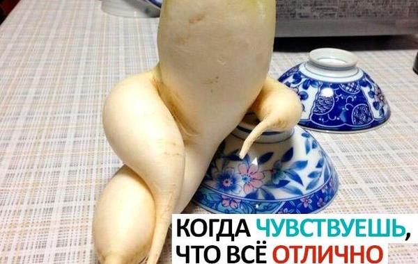 вещи которые ведут себя как мы, лица повсюду, смешные неодушевлённые предметы