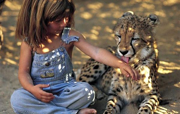 девочка 10 лет жизни провела в Африке, Типпи Бенджамин Оканти Дегрэ, Tippi Benjamine Okanti Degré