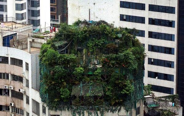 Сумасшедшие дома, необычные дома со всего света