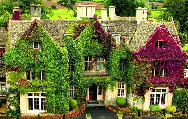 дома захваченные растениями, дома поросшие растениями
