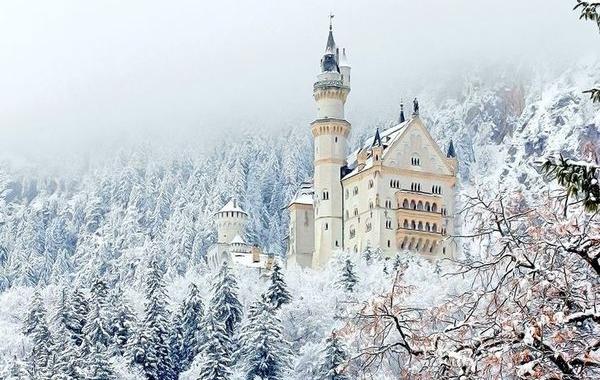 Любимые кадры глазами фотографов