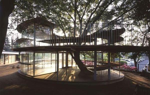 детский сад Фудзи Япония, детский сад вокруг дерева, детский сад Фудзи вокруг дерева