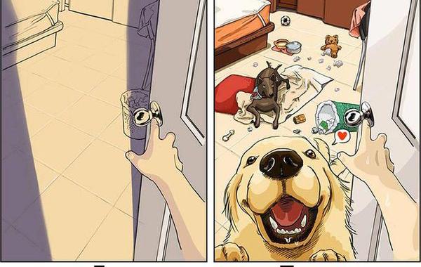 Жизнь до и после появления собаки, жизнь с собакой и без, Меймай Джон, Maimai John