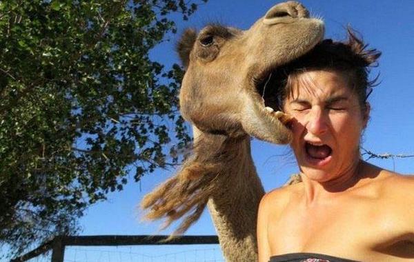 животные ненавидят женщин, животные против женщин