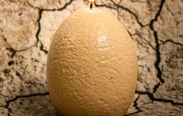 свеча в виде яйца динозавра, динозавр внутри свечи, свеча яйцо динозавр