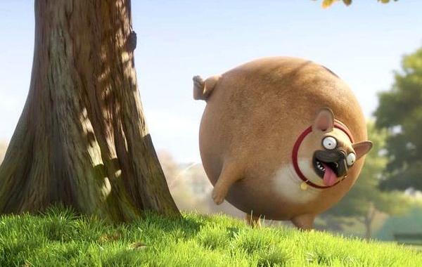 Если бы животные были круглыми, Rollin' Wild, Rollin' France, Rollin' Safari