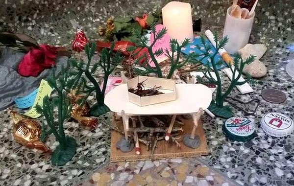 мемориал мертвому таракану, студенты устроили мемориал мертвому таракану, таракан Рози