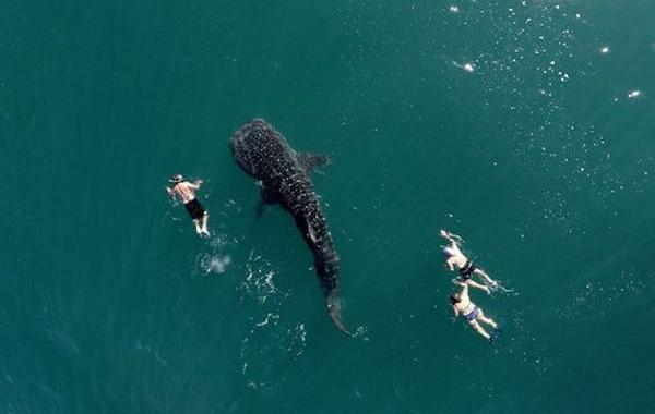 лучшие фото с дронов, Dronestagram 