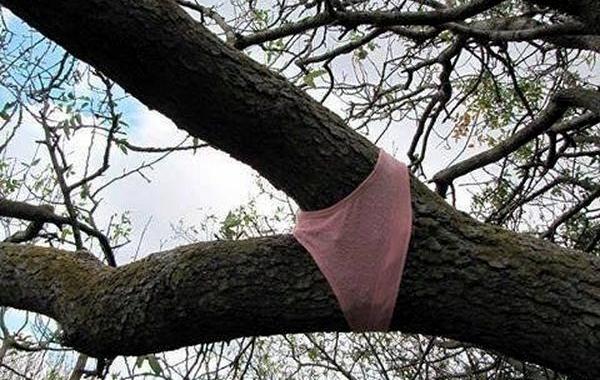 неожиданные фотографии, фотогарфии