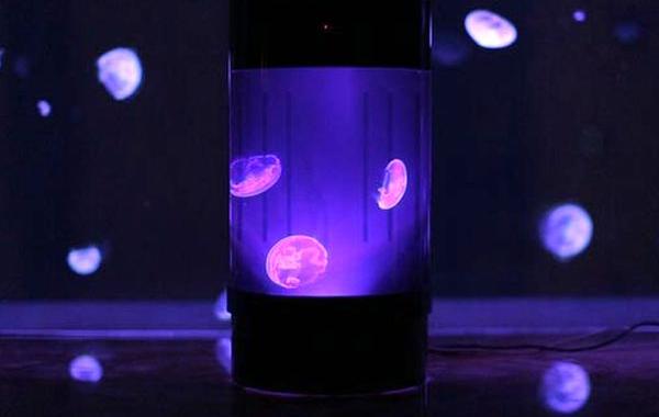 медузы в аквариуме, медузы домашние животные, Jellyfish Art, аквариум для медуз