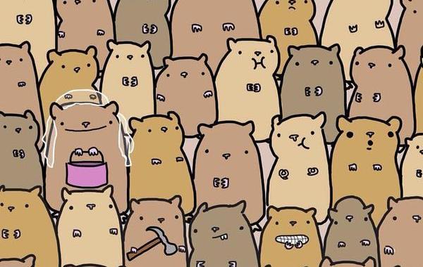 найти картофель среди хомячков, найти картошку среди хомяков, картофель среди хомяков