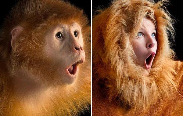 люди пародируют животных, пародия на инстаграм National Geographic, пародия на  Instagram National Geographic