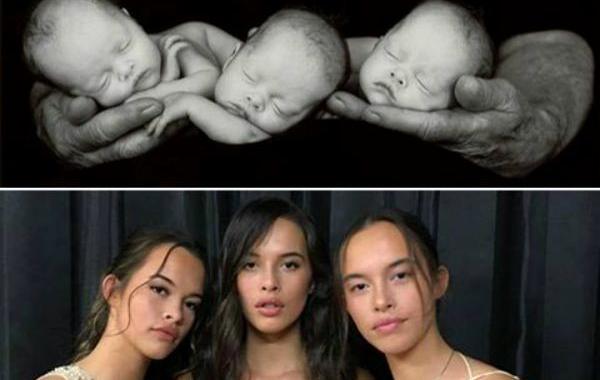 Энн Геддес, Anne Geddes, как сегодня выглядят дети-модели