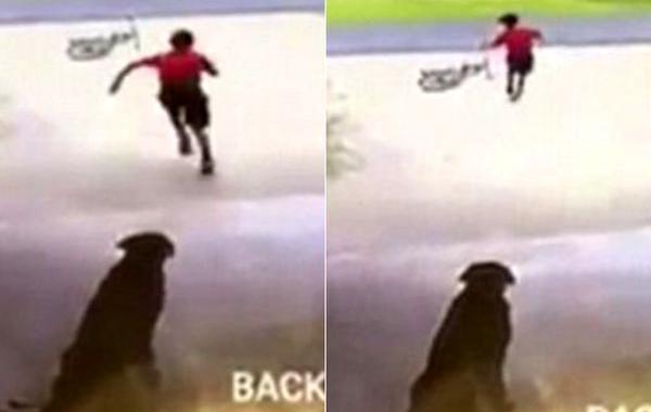 бежал в в гараж обнимал собаку, мальчик бросал велосипед обнимал собаку