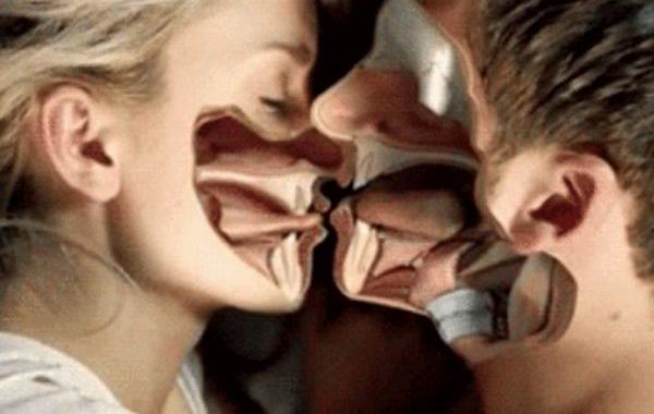 факты о поцелуях, неизвестные факты о поцелуях, интересное о поцелуях