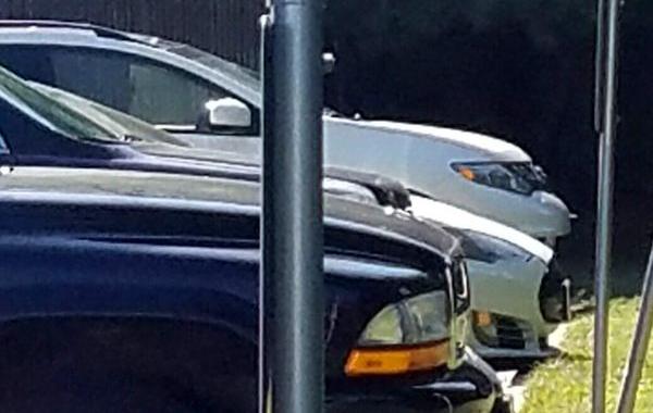 Фото парковки центра лазерной коррекции зрения, каждый знак на парковке отогнут назад