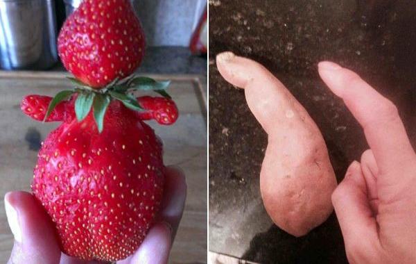 фрукты и овощи похожие на нечто другое, смешные фрукты и овощи