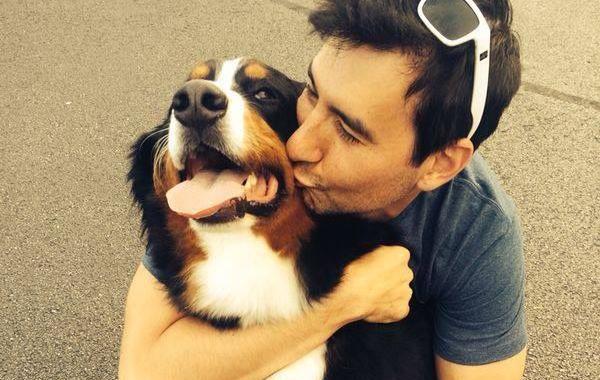 реакция собаки торт ко дню рождения, реакция собаки на торт