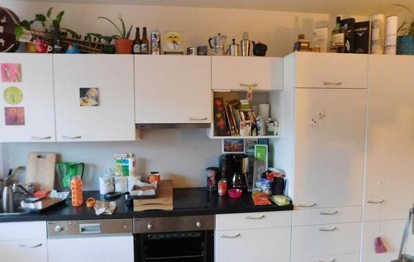 найди кота на фото, найди кота Педро на фото