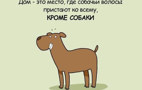 Смешные комиксы о собачьих заскоках, комиксы о собаках, Lingvistov