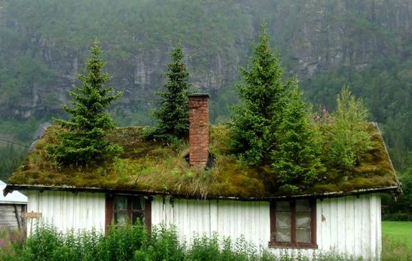 Сказочные скандинавские дома, дома с зелёными крышами