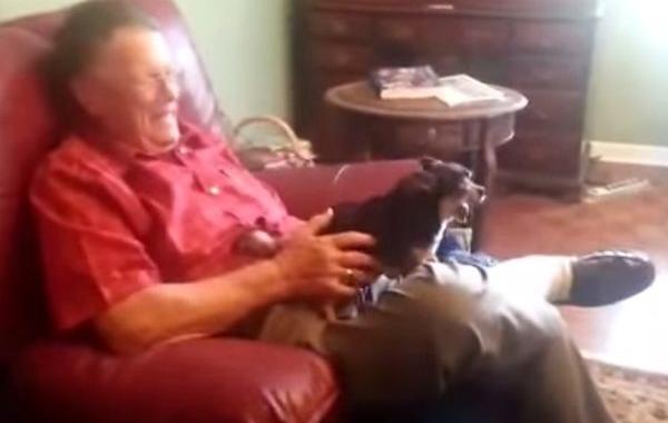 пес умирает парень берет его на руки, парень берет на руки собаку притворяется мертвой