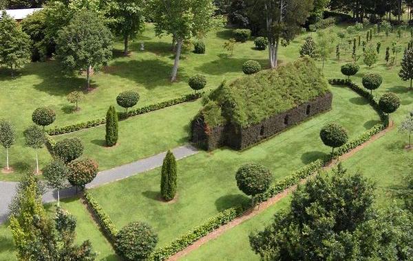 церковь из деревьев, Брайан Кокс, Brian Cox, вырастил церковь за 4 года