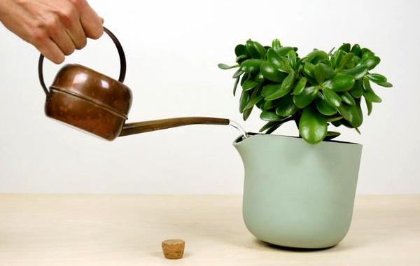 Гениальные цветочные горшки, цветочные горшки Natural Balance, горшок показывает когда нужно полить растение