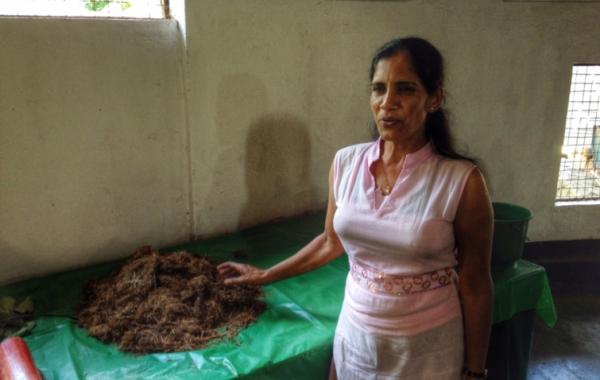 Необычный бизнес на слоновьем помёте, бумага из какашек, навоз