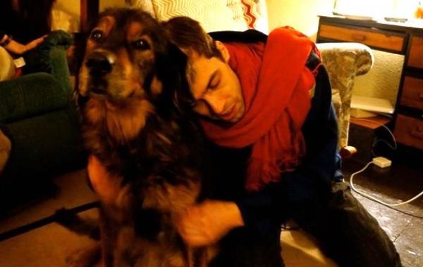 история собачьей преданности, история о собаке, собака пожертвовала своей жизнью