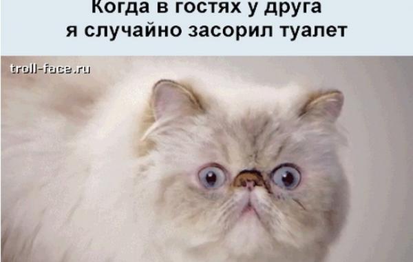 Жизненные ситуации в смешной анимации