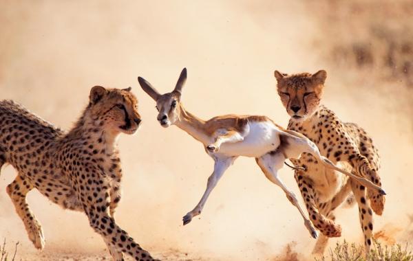 National Geographic за январь 2014