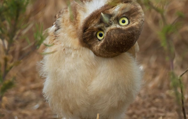 National Geographic за апрель 2014