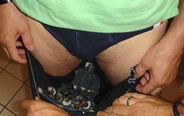 пытался провезти колибри в штанах, контрабанда колибри в нижнем белье,контрабанда колибри в штанах