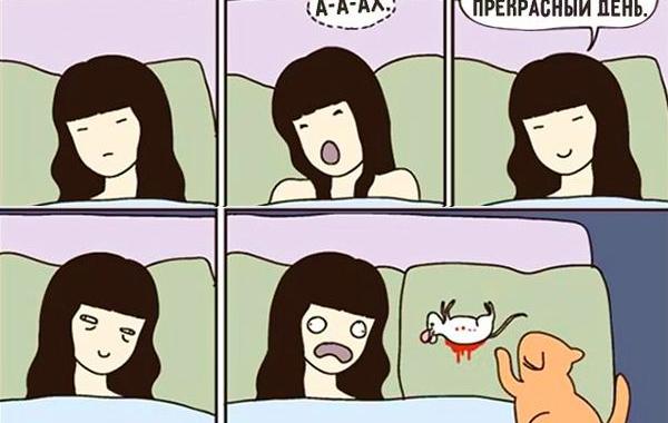 комиксы для котов, смешные комиксы с котами