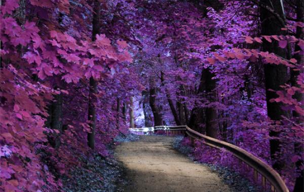 живописные дороги, красивые дороги и тропы