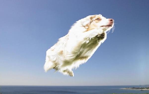 Стоп-кадр, в нужный момент