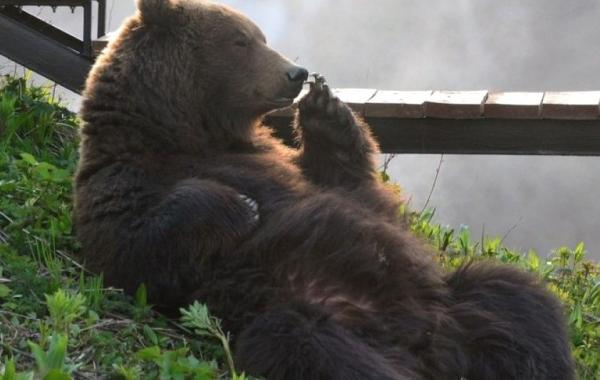 National Geographic за сентябрь 2014, лучшие фотографии National Geographic