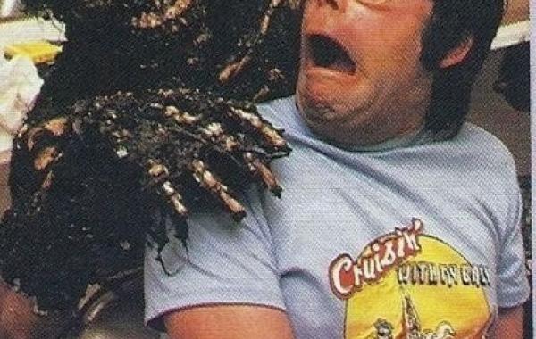 редкие кадры, исторические кадры, архивные фото знаменитостей