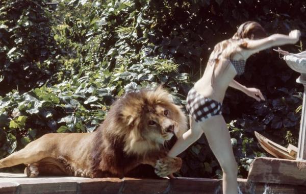 Мелани Гриффит, Мелани Гриффит и лев Нил, фильм рёв