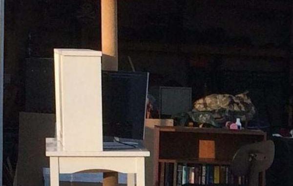 Наказал дочку за грязную комнату