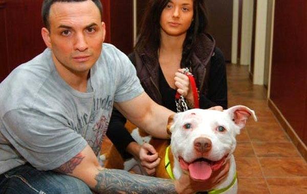 животные спасли жизнь людям, животные спасли жизнь своим хозяевам, животные спасли жизнь своим владельцам, животные герои