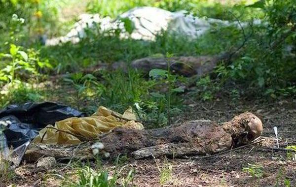 Freeman Ranch, Ранчо Фримена, фермы изучающие разложение человеческих тел, ферма тела разлагаются