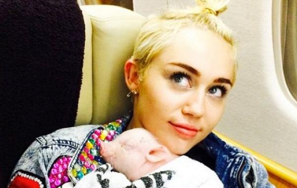 звёзды и их питомцы, звёзды голливуда с домашними животными