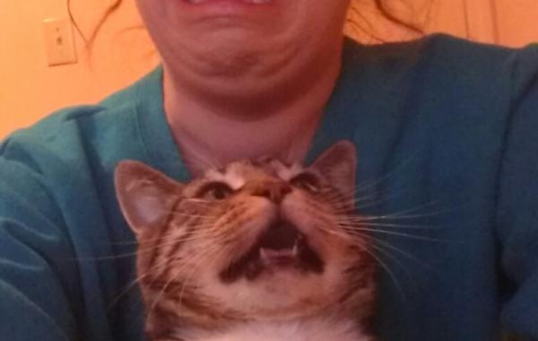 Кот и его хозяйка просто в шоке